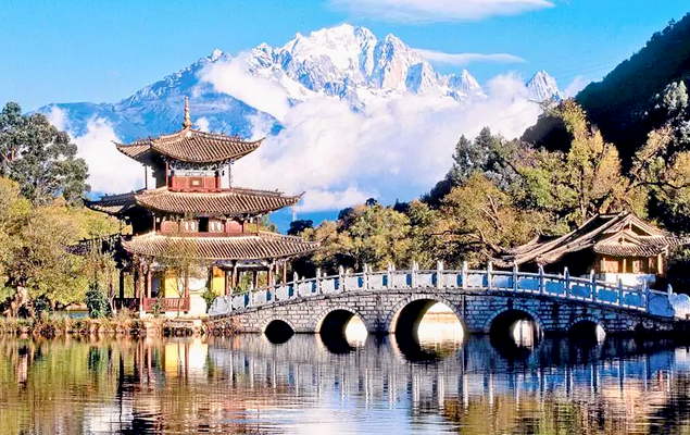 Chinês