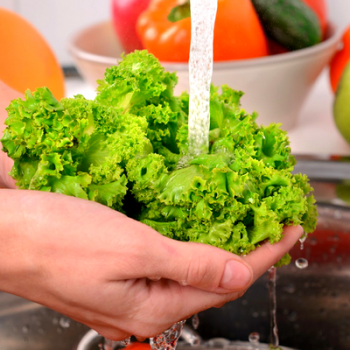 Alimentos