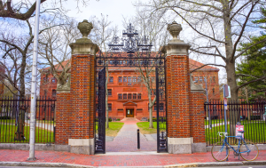 Harvard arquitetura coronavirus cursos online gratuitos