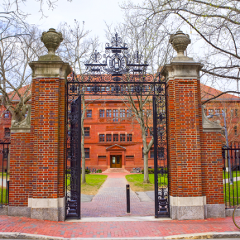 Harvard arquitetura coronavirus cursos online gratuitos