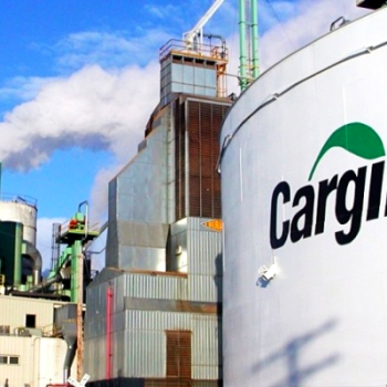 Cargill Vagas