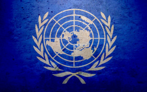 Cursos da ONU