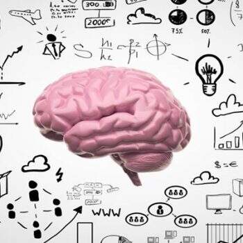 Cursos
