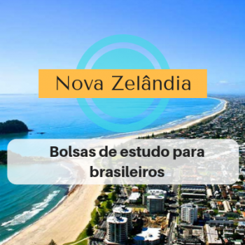 bolsas