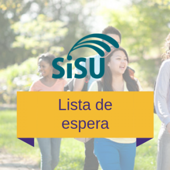 sisu