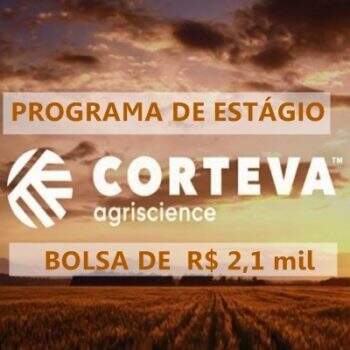 Programa