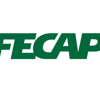 fecap cursos online gratuitos quarentena coronavirus