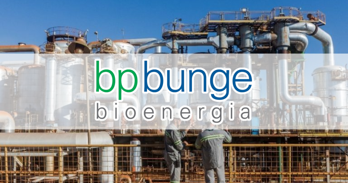 Bp Bunge Bioenergia Abre Vagas De Trainee Confira Os Detalhes Est Gio Online